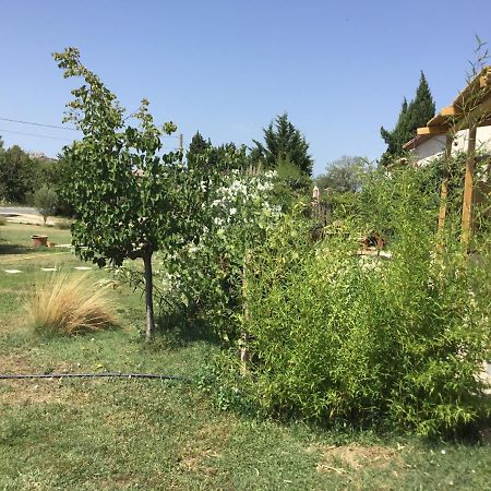 Le Jardin Du Castillon Paradou Luaran gambar