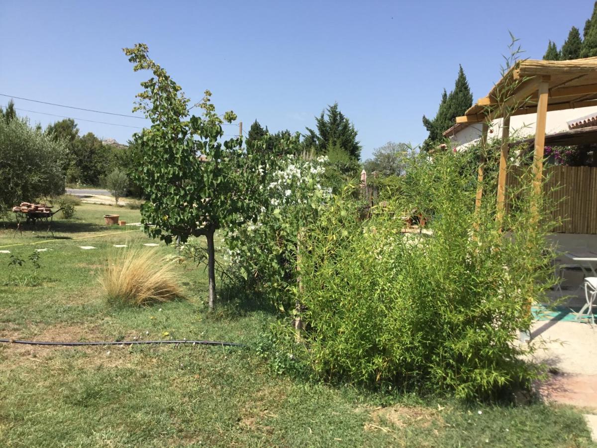 Le Jardin Du Castillon Paradou Luaran gambar