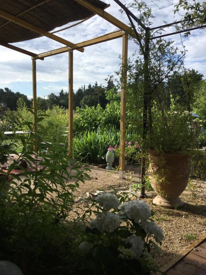Le Jardin Du Castillon Paradou Luaran gambar